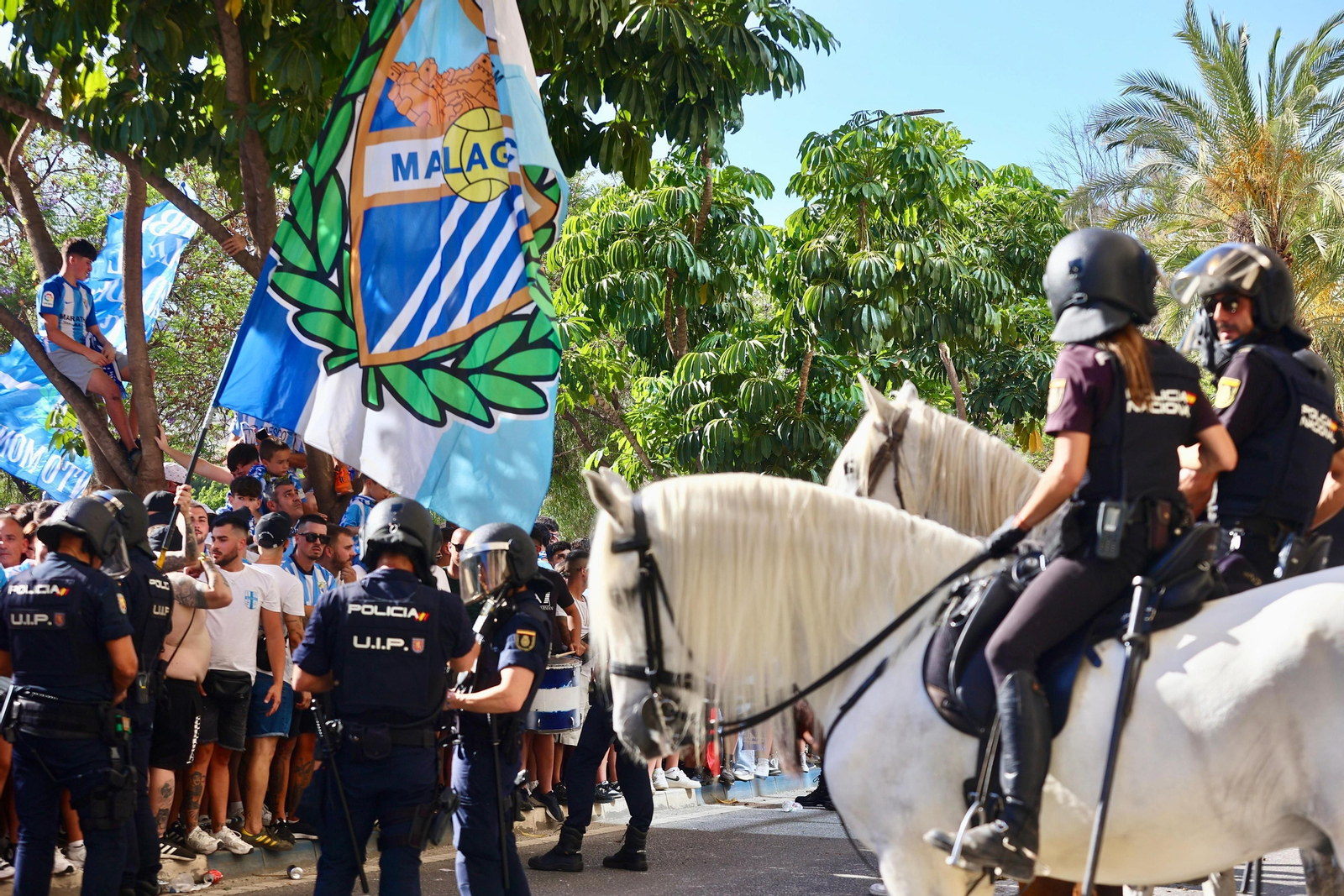 Las fotos de otra exhibición de la afición antes del Málaga-Nàstic