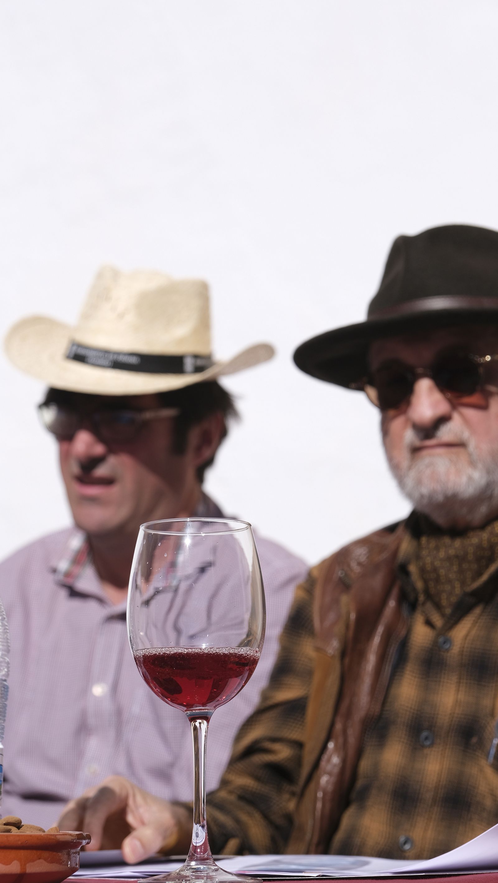 Imágenes del Certamen de Mostos de Fiñana