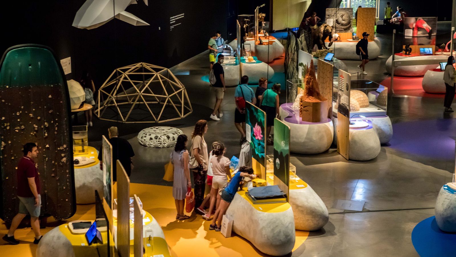 Exposición BioInspiración en el Parque de las Ciencias