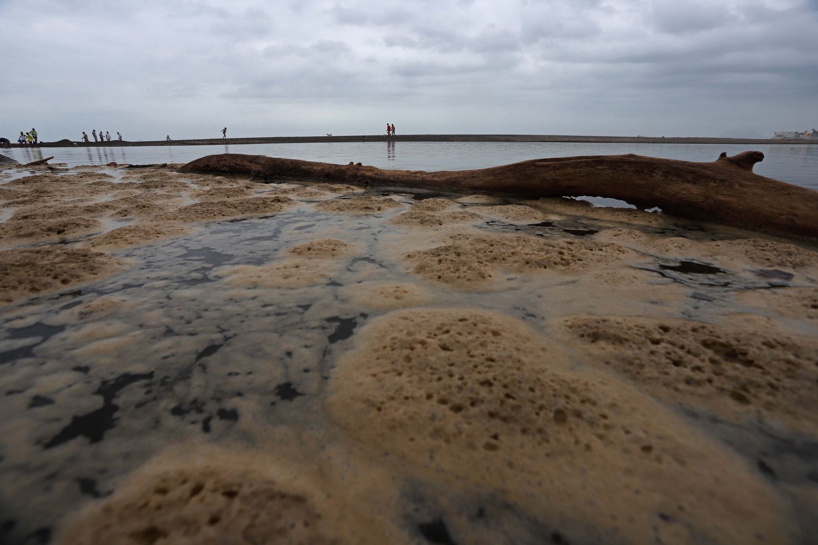 La desembocadura del río Guadiaro, taponada.