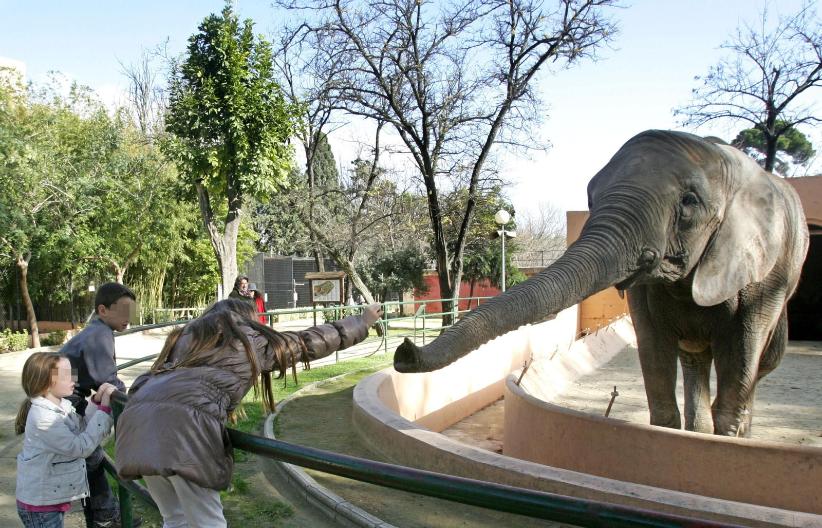 Recorrido gráfico por los 68 años del Zoobotánico en su aniversario