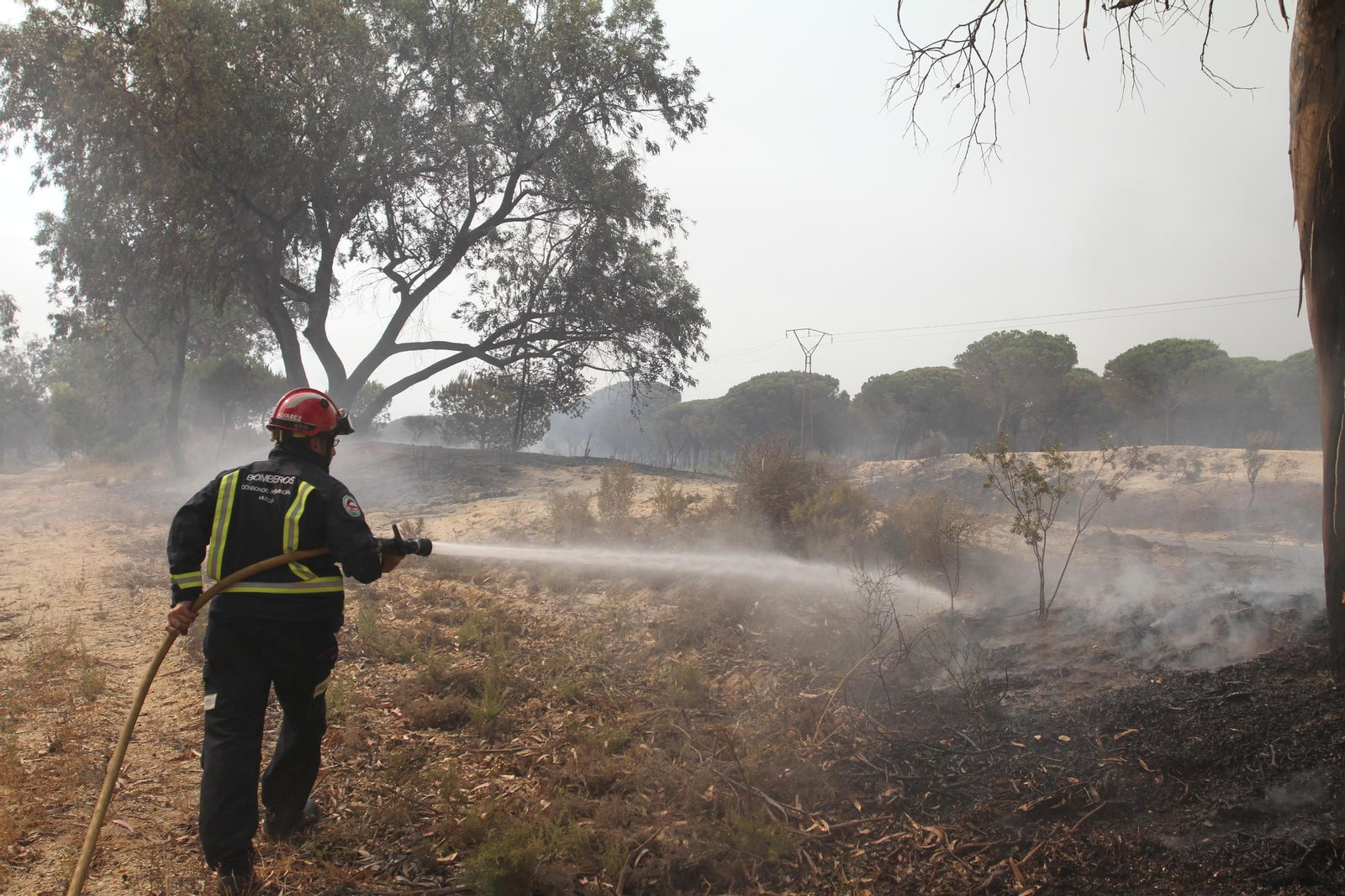 Las imágenes del incendio en Moguer y Mazagón