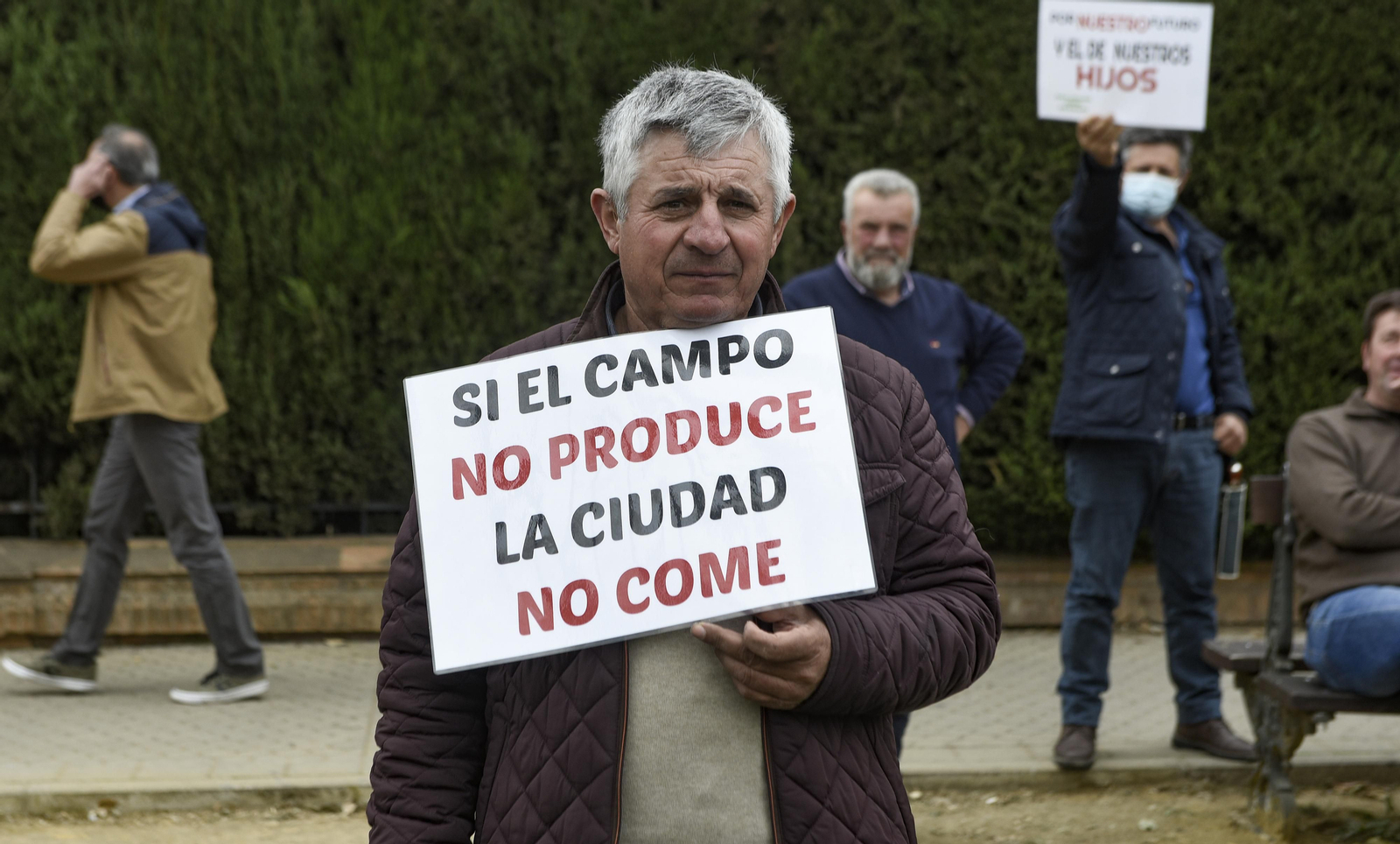 Las imágenes de la manifestación de agricultores de toda Andalucía en Sevilla