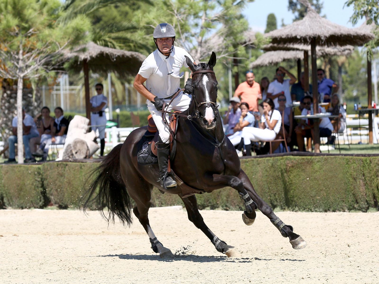 Jesús Garmendia, con 'Ulises del Pomar'.