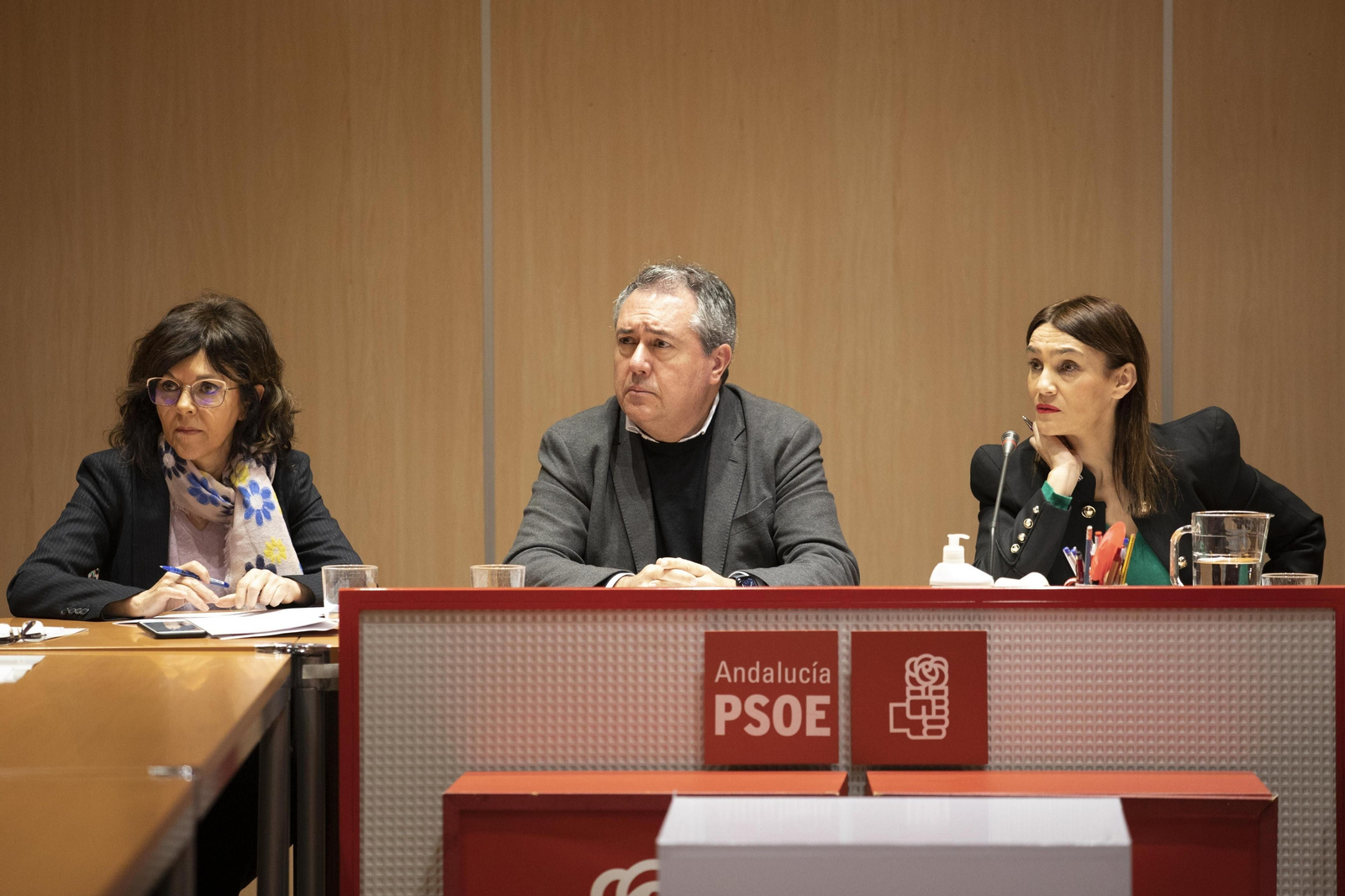 Espadas propone desde Granada un Plan de Rescate de la Atención Primaria