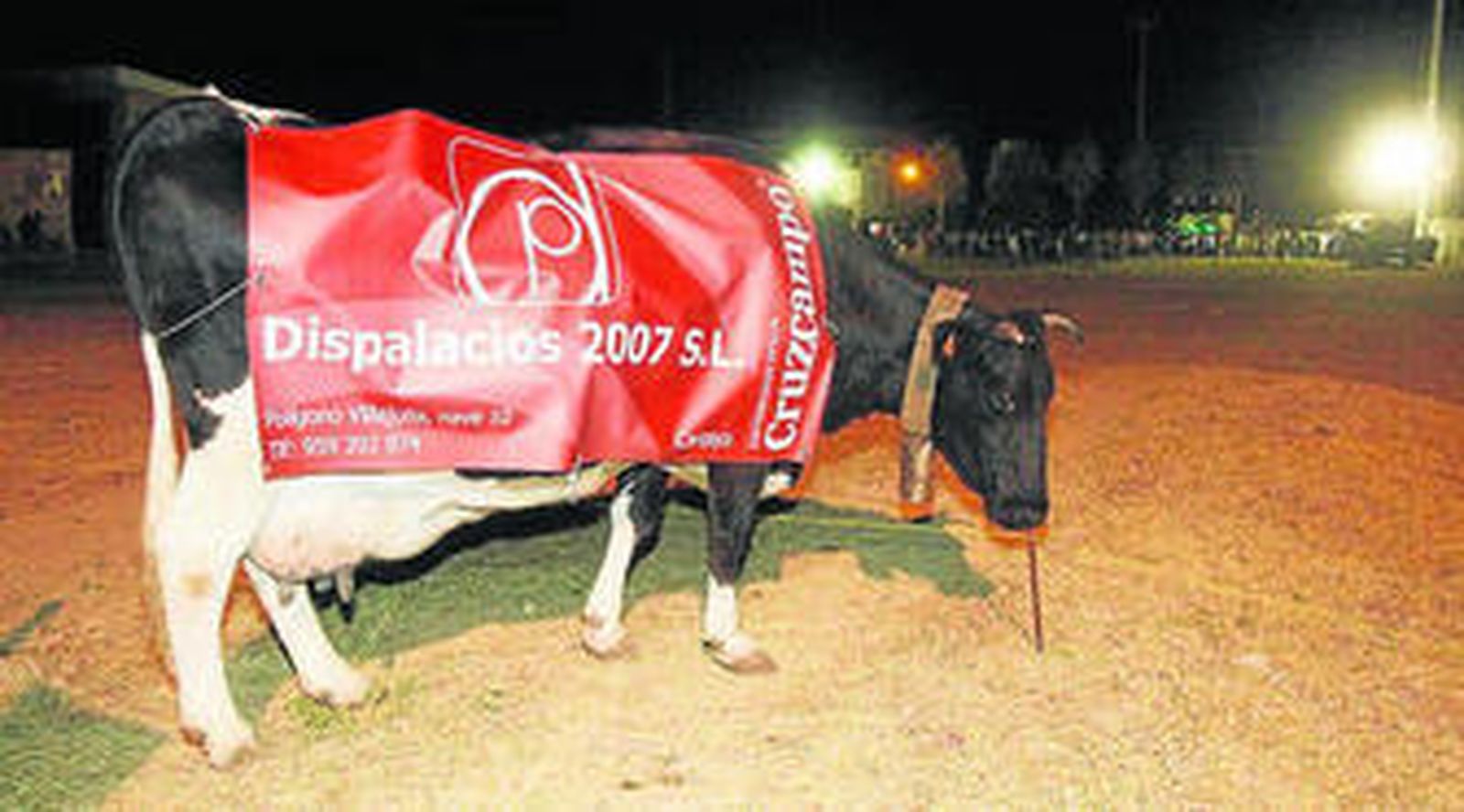 La vaca en una edición anterior del concurso.