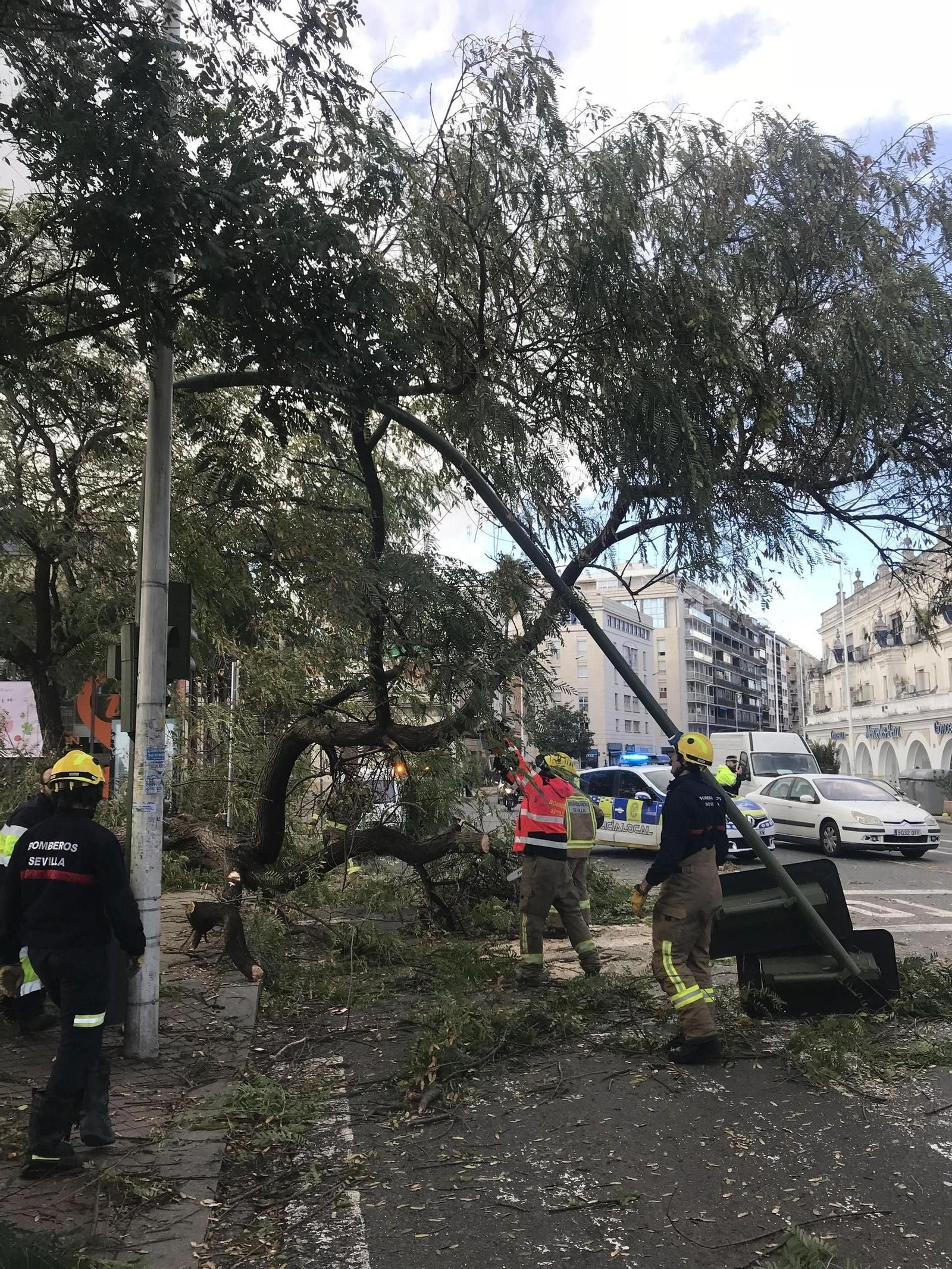 Las imágenes del temporal en Sevilla