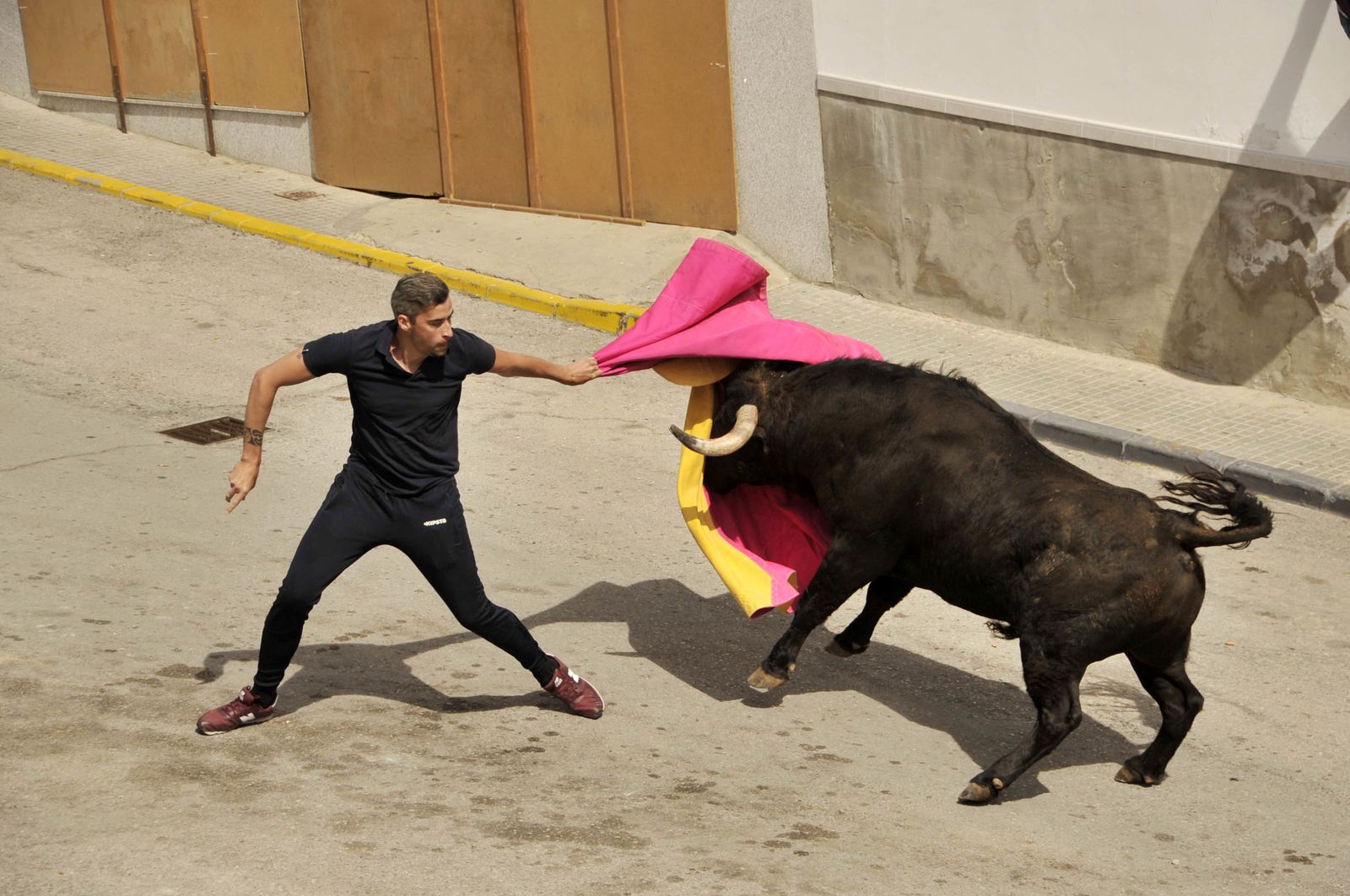 Las imágenes del Toro del Aleluya