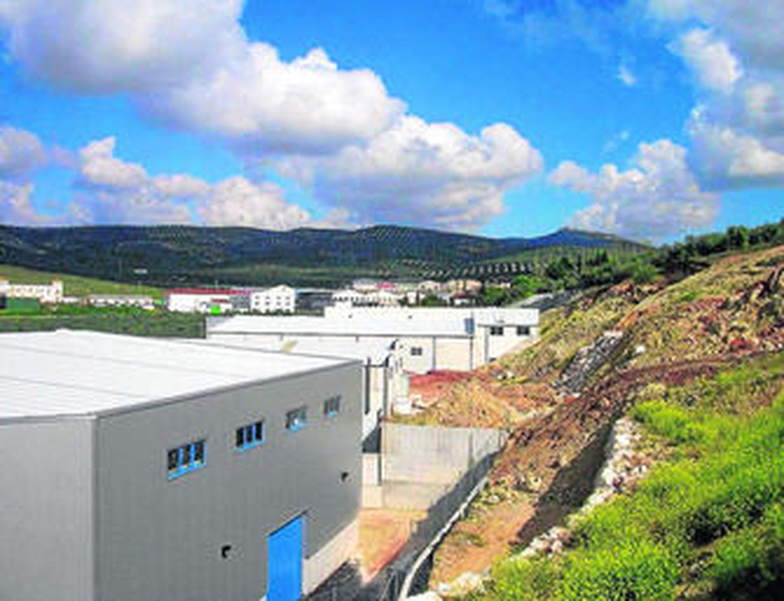 Deslizamiento de tierras en el polígono empresarial Príncipe Felipe de la ciudad lucentina.