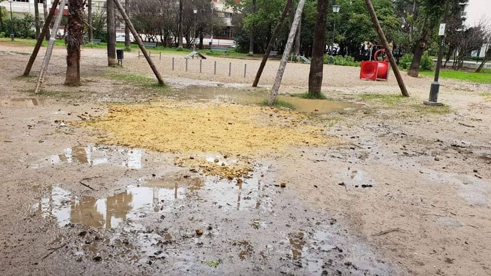 Charcos junto al circuito 'agility' tras un día de lluvias.