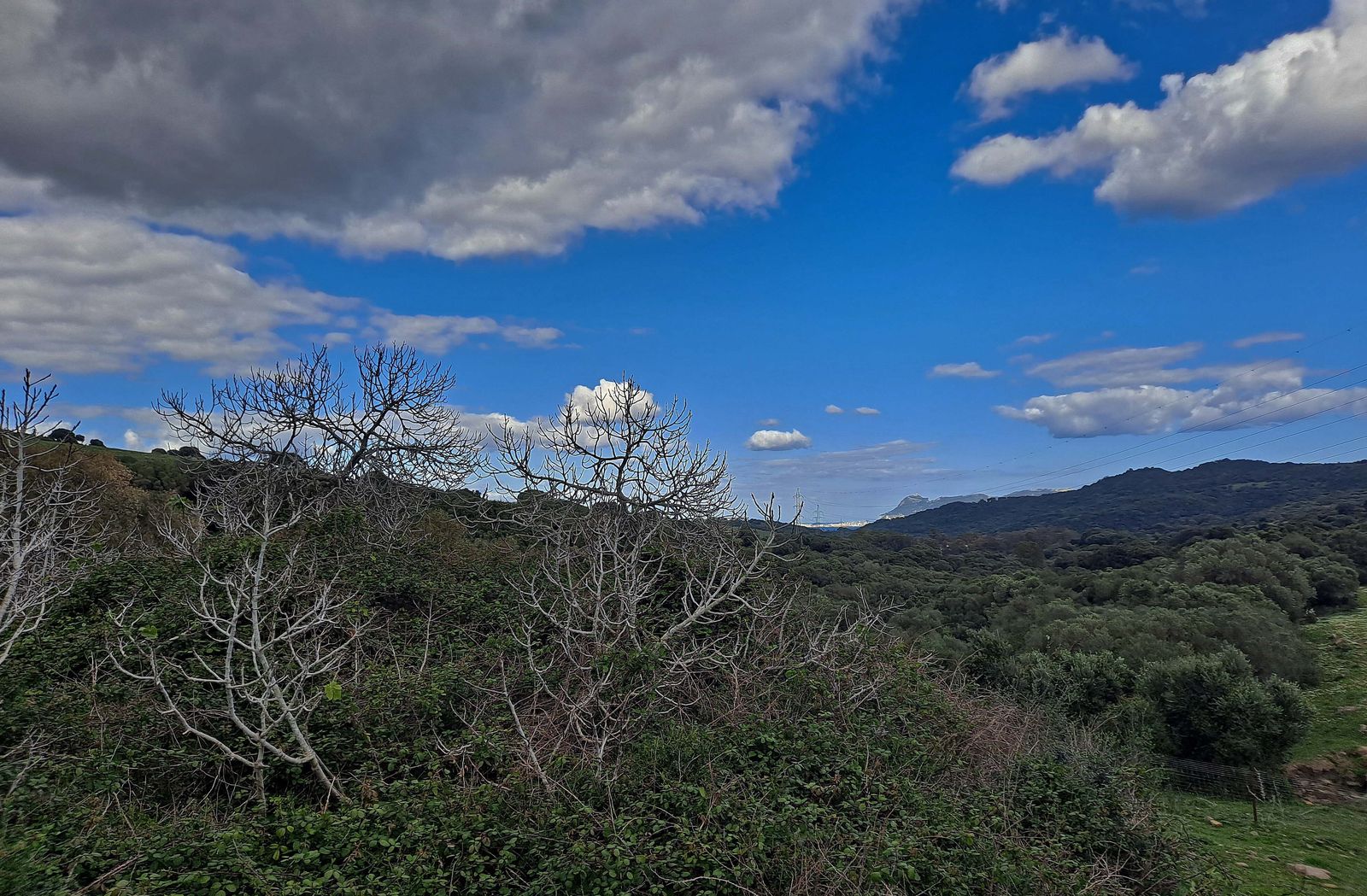 Fotos del sendero de la Garganta de Marchenilla en Algeciras