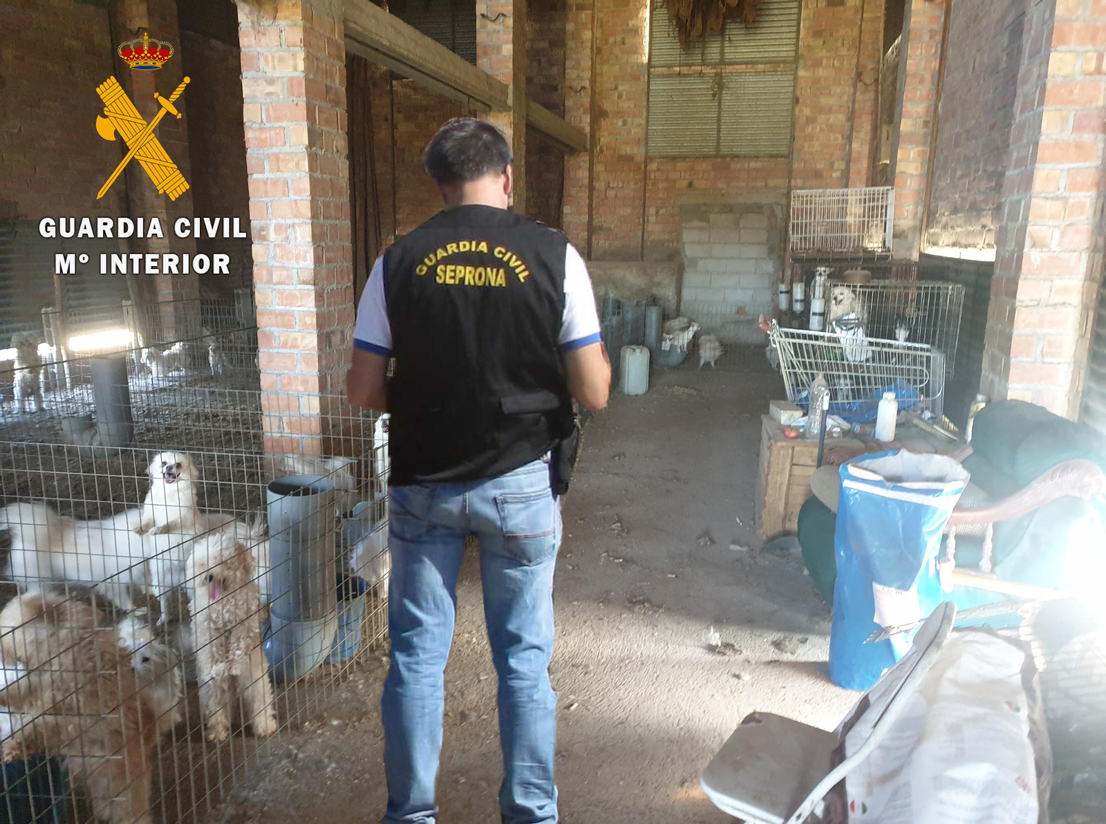La Guardia Civil descubrió en noviembre un criadero ilegal de perros en Belicena.
