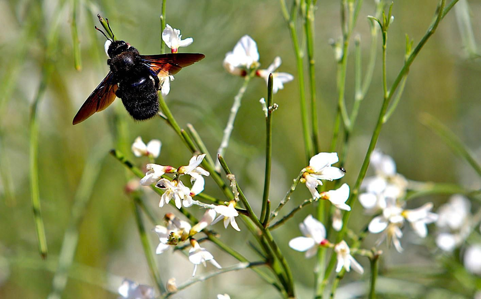 Así es el pulmón verde de Huelva, el parque urbano más grande de Andalucía