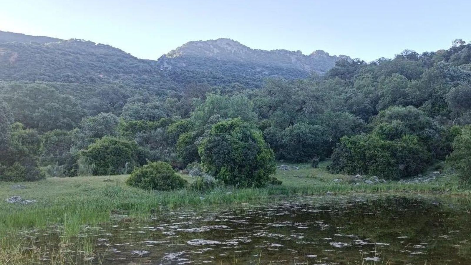 La Laguna Honda con la Sierra de Líbar al fondo