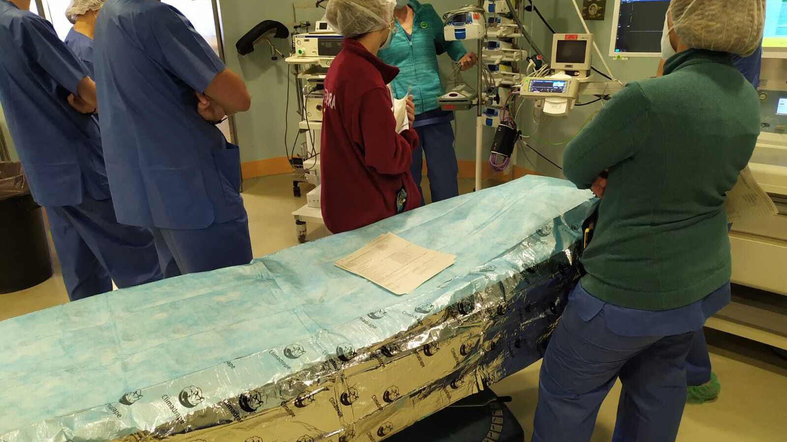 Enfermeros del bloque quirúrgico de Urgencias del Virgen del Rocío durante los talleres prácticos para personal de nueva incorporación.