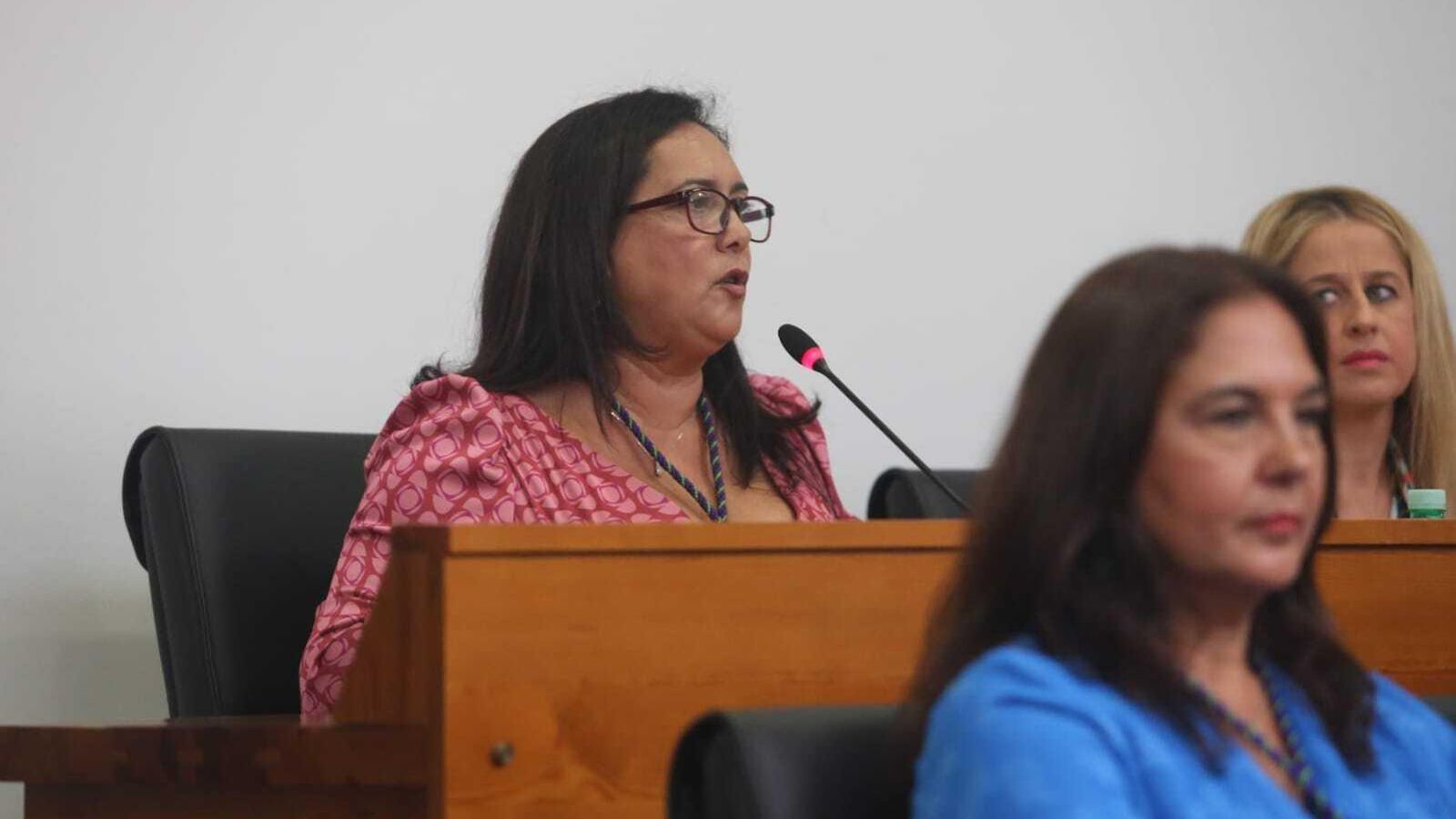María Teresa García, de San Roque 100x100, durante su discurso María Teresa García, de San Roque 100x100, durante su discurso
