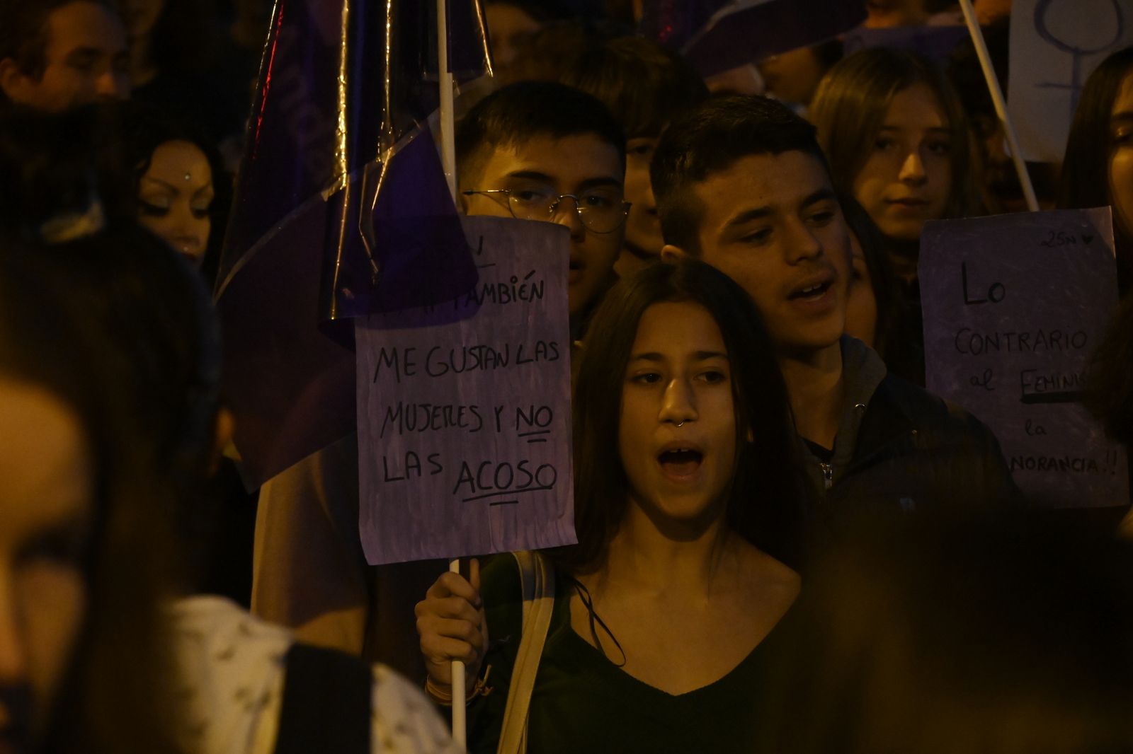 Manifestación del 25N en Imágenes.