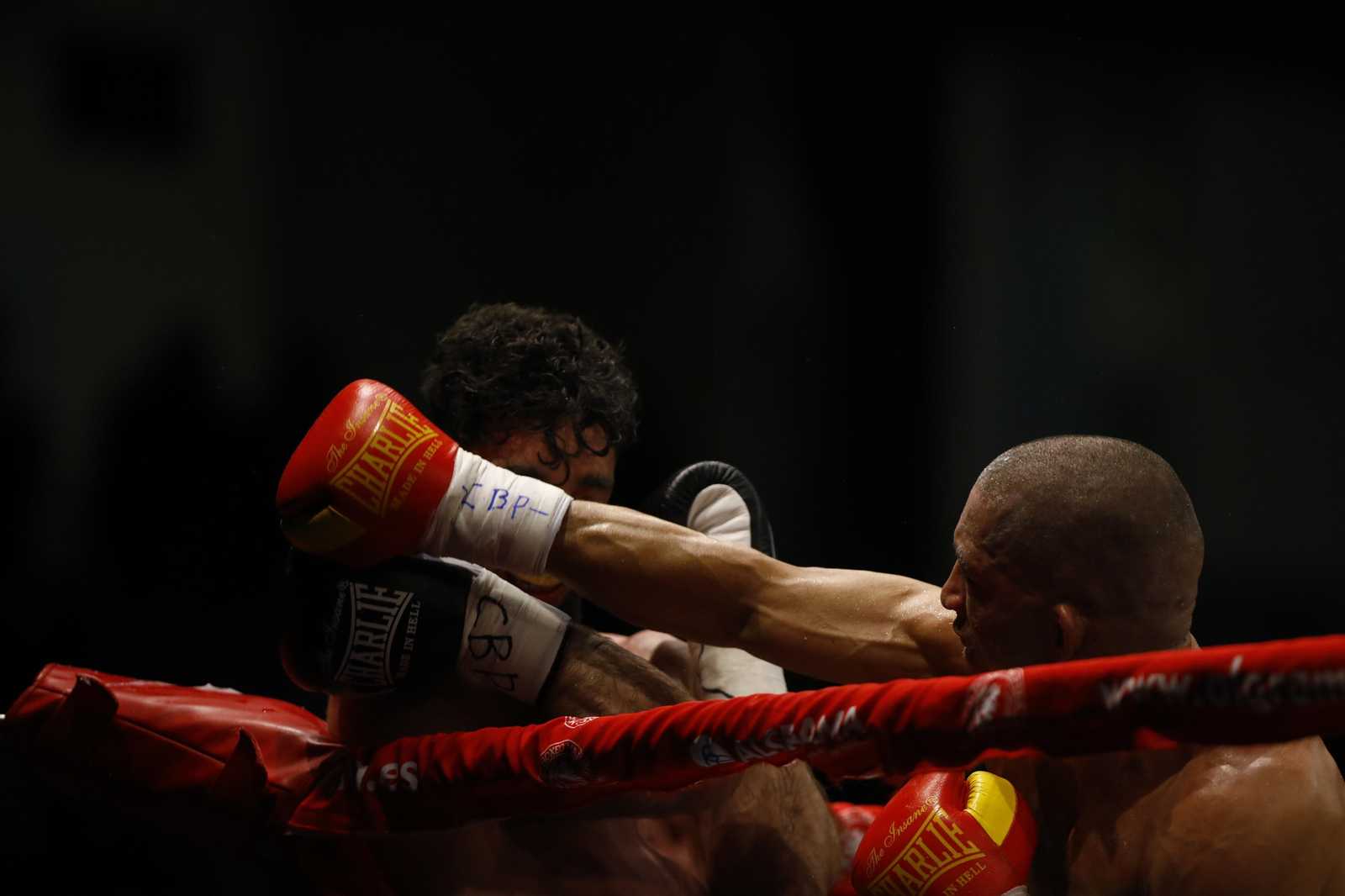 Las imágenes del combate entre José Luis Navarro Jr y Ronny Landaeta en Córdoba