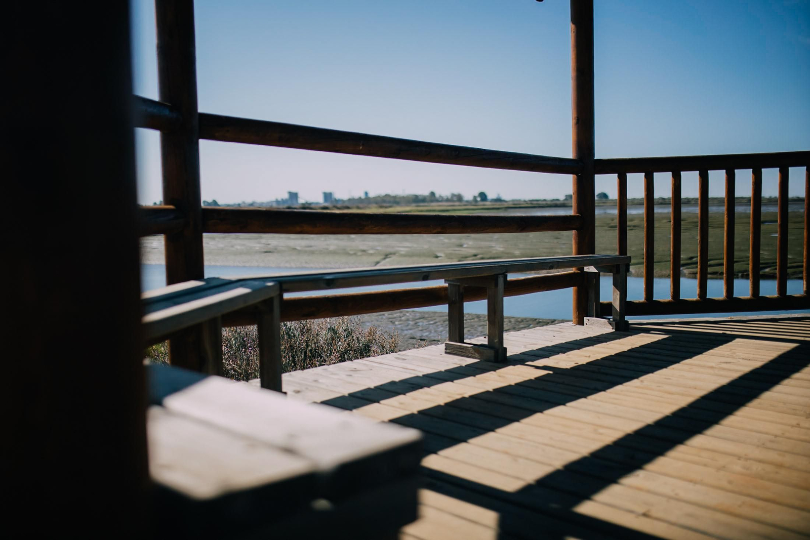 Un recorrido fotográfico por el Paraje Natural Marismas del Odiel