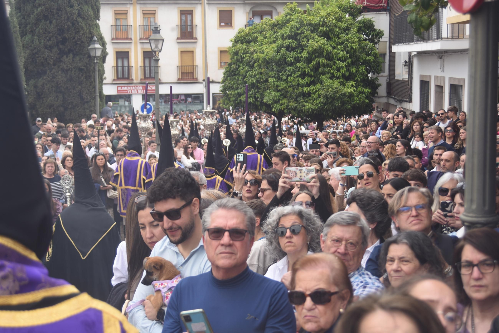 La procesión del Caído en este Jueves Santo de Córdoba, en imágenes