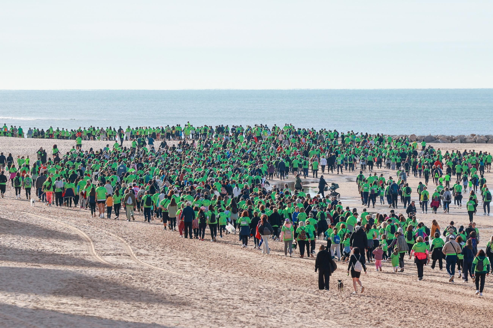 Búscate en las fotos de la XI Carrera en Marcha Contra el Cáncer de Cádiz