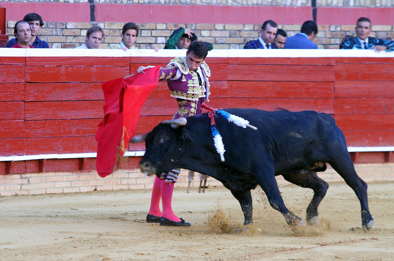 Imágenes de la Novillada de Rafael Serna, Emilio Silvera y Rodrigo Molina.