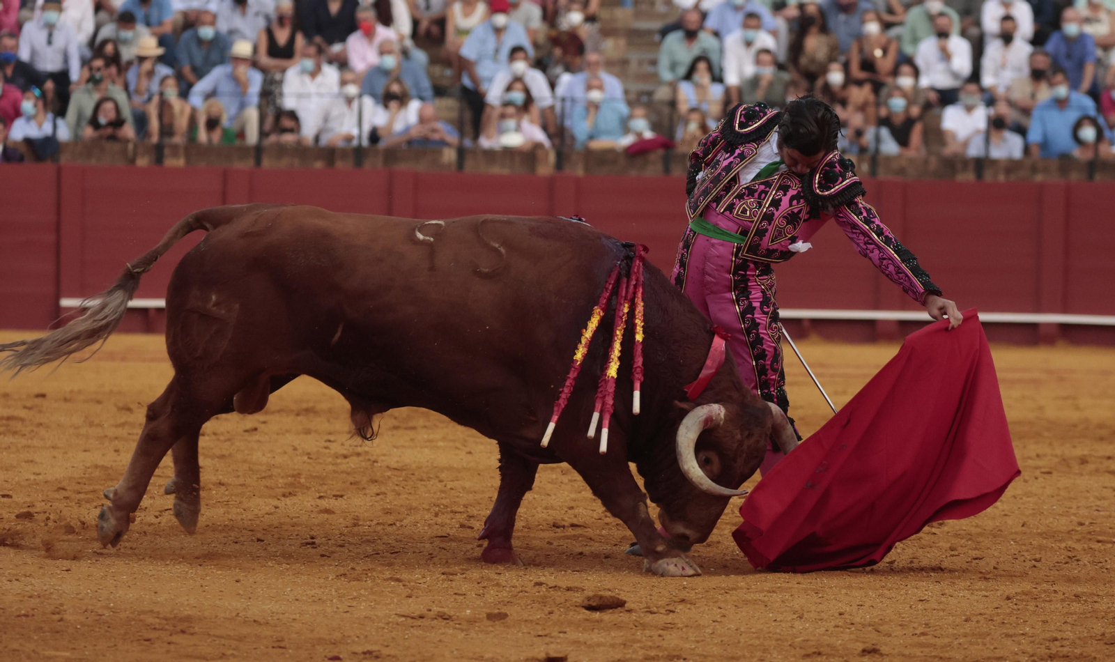 Las imágenes del triunfo de Morante en San Miguel