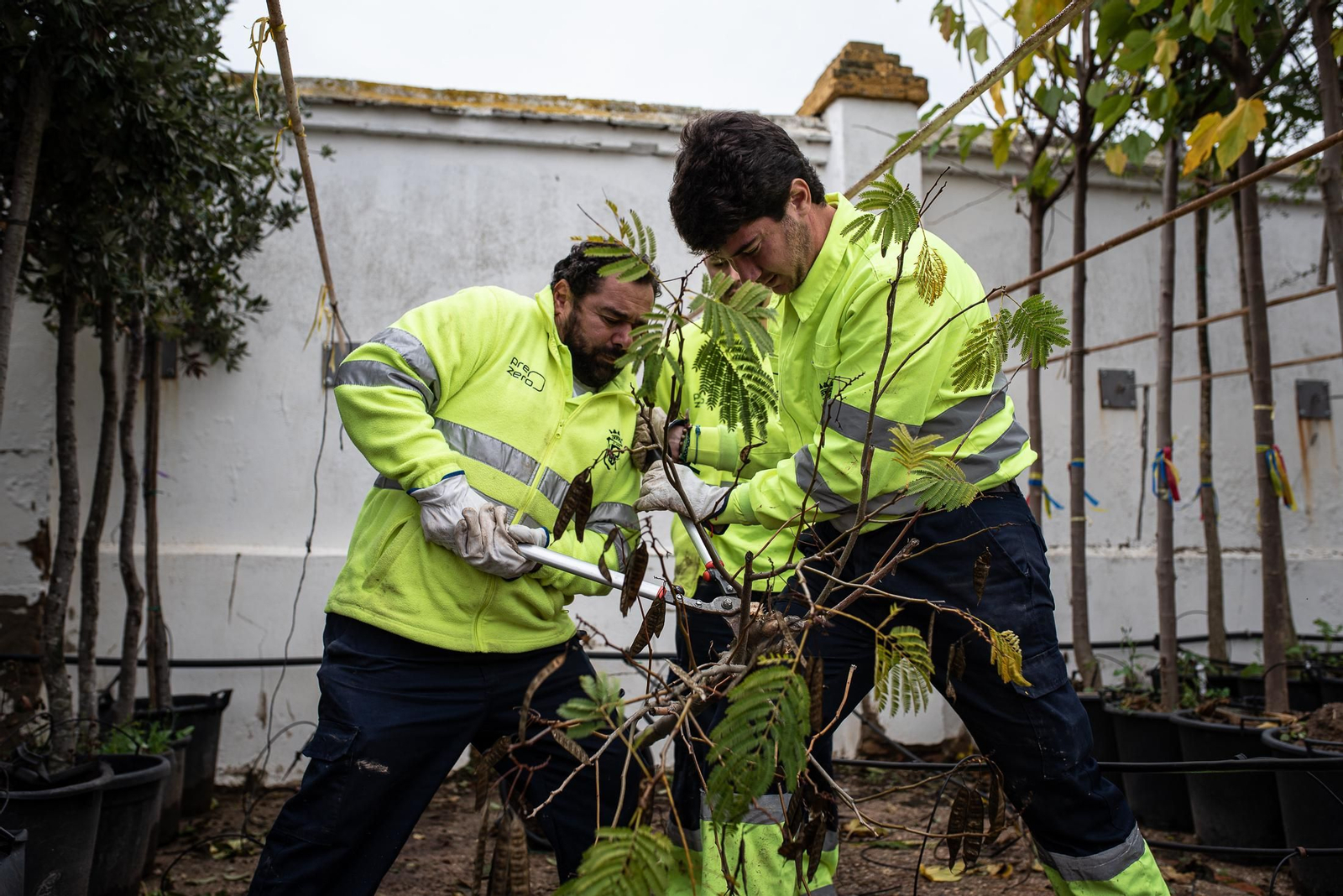 Visita al vivero municipal en imágenes