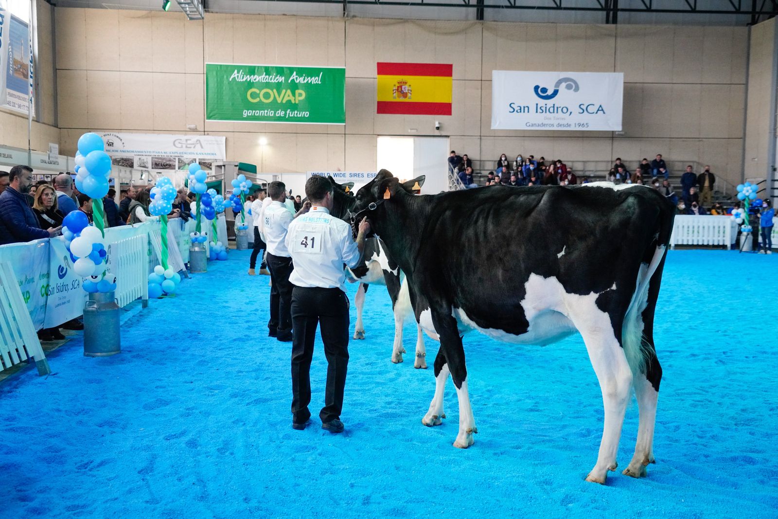 La Feria de Ganado Frisón Usías Holsteins de Dos Torres, en fotografías