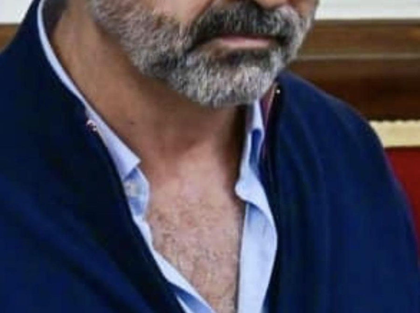 Adivina adivinanza:¿ a qué concejal pertenece este pecho de lobo?