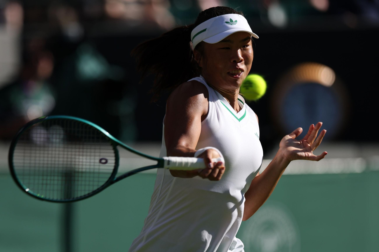 La primera jornada de Wimbledon (146).jpg