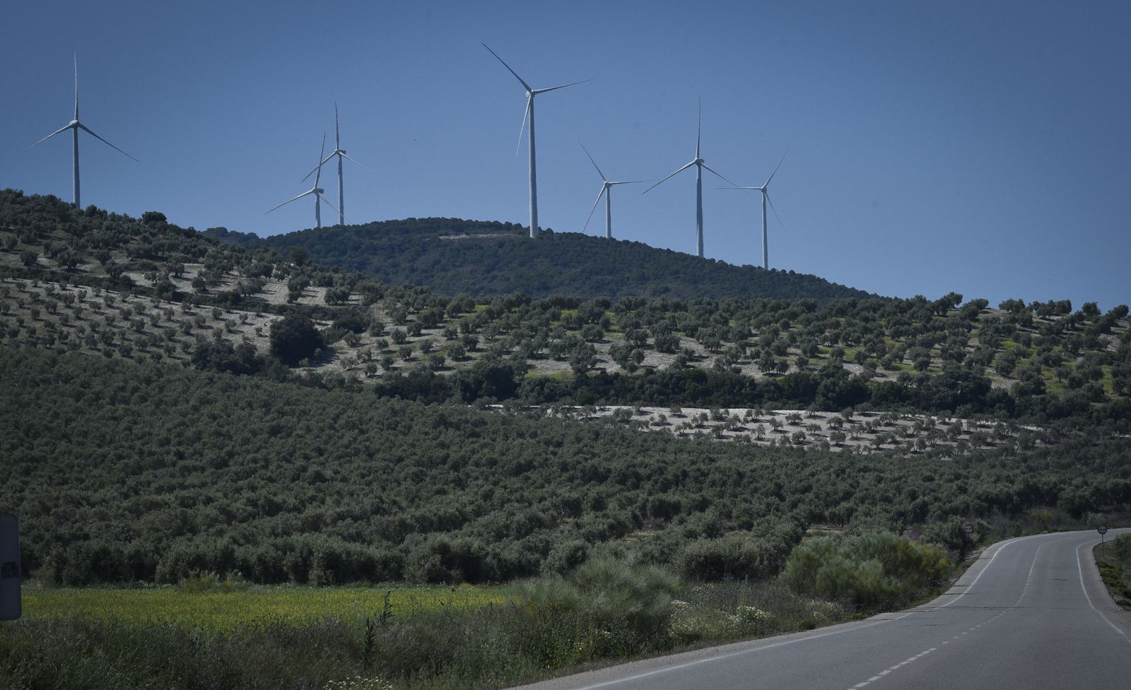La resistencia en los pueblos de Sevilla al Coronavirus: Aguadulce
