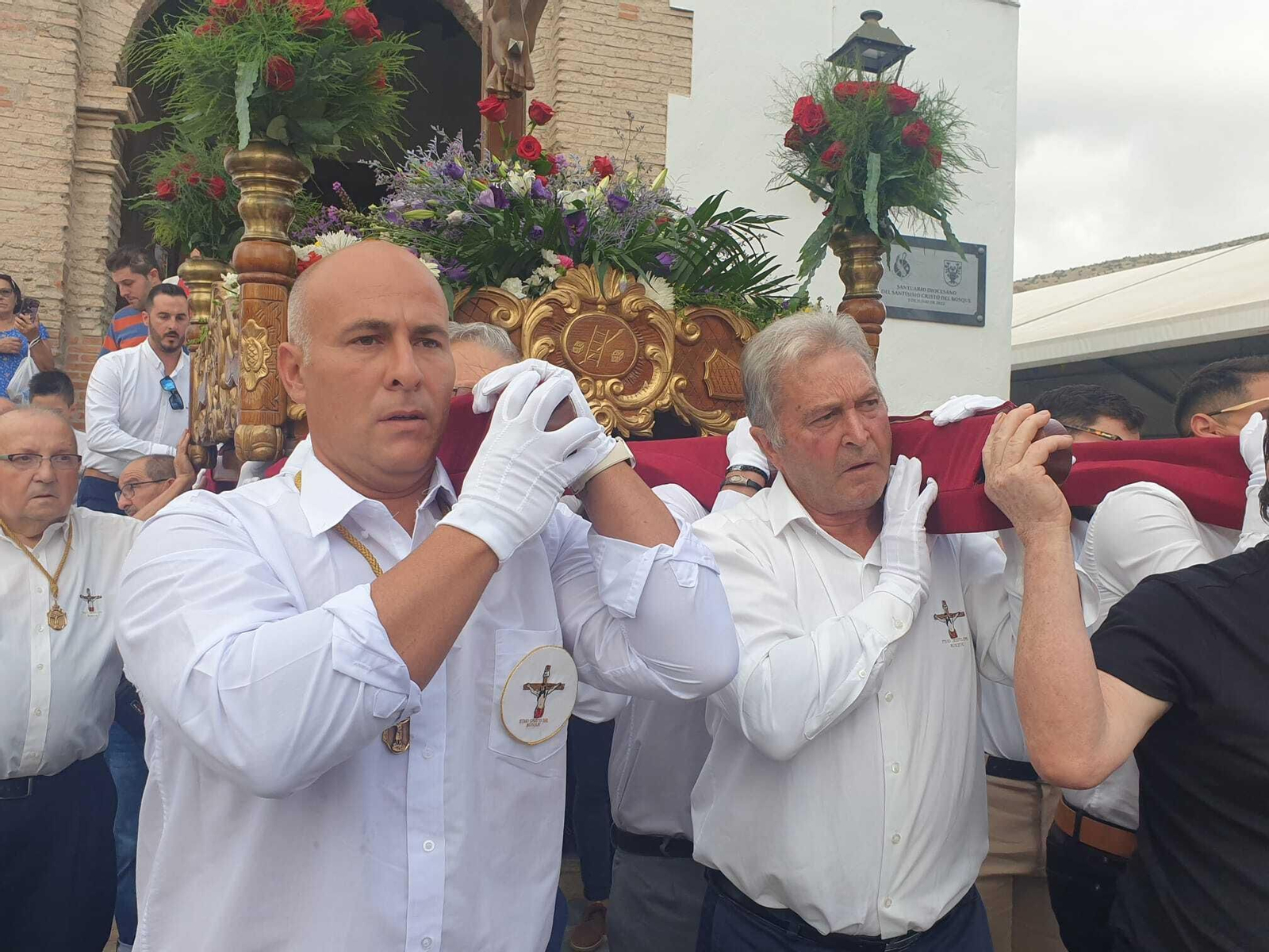 La procesión del Cristo del Bosque de Bacares, en imágenes
