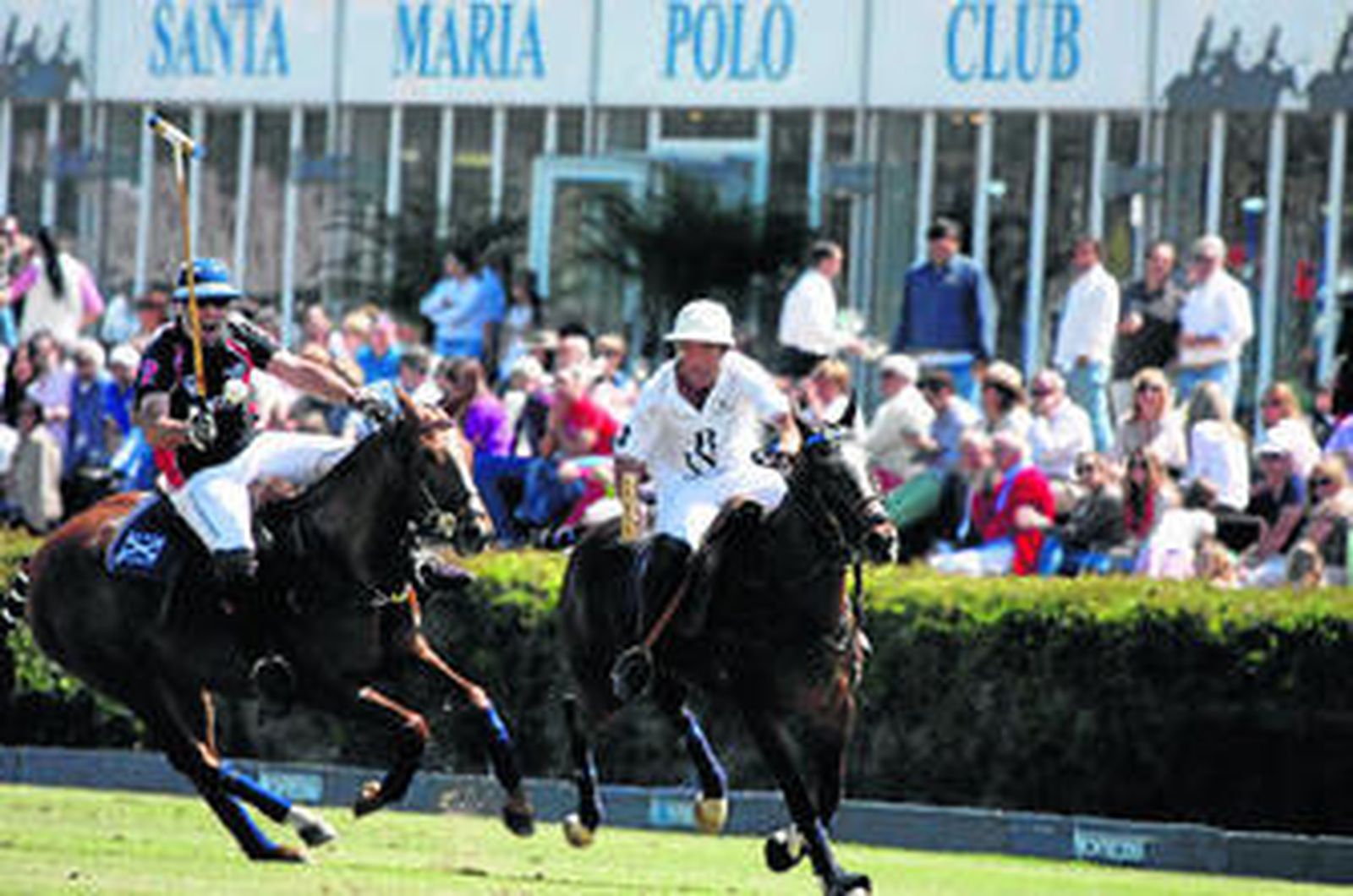 Las escuadras de Scapa y Santa María, dos de los animadores para la primavera.