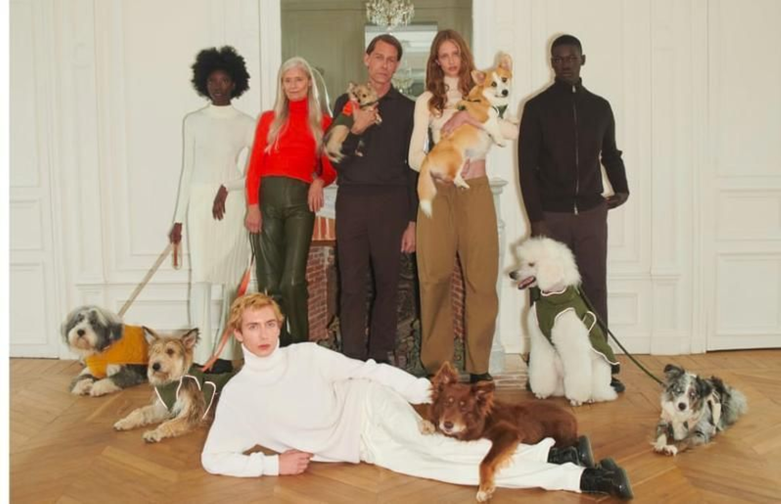 Los perros, modelos de la nueva campaña de Zara