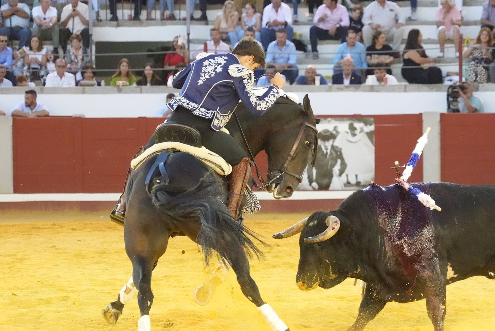 El triunfo del rejoneador Guillermo Hermoso de Mendoza en Pozoblanco, en imágenes