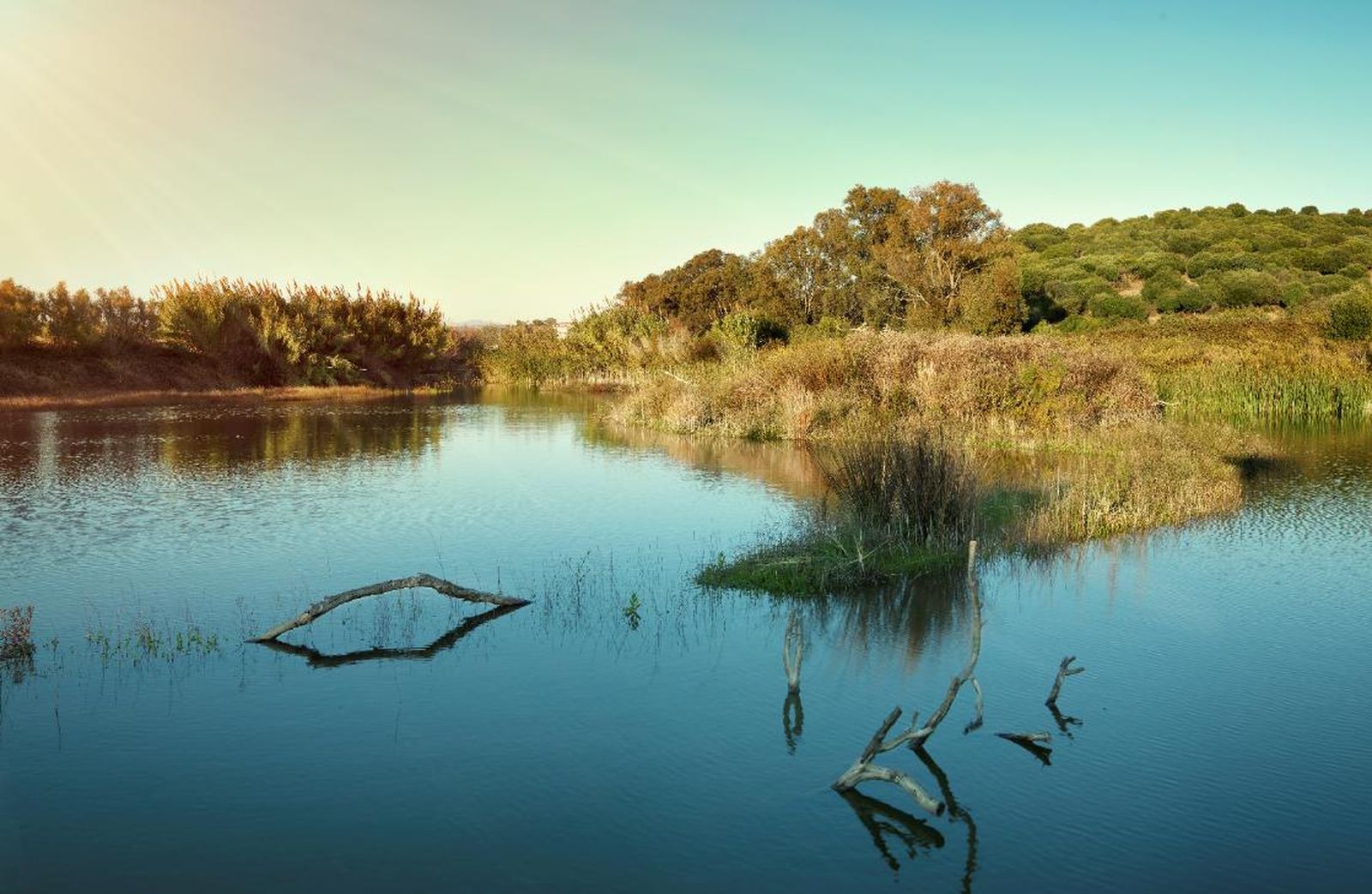 La estación ambiental de Madrevieja, en San Roque.