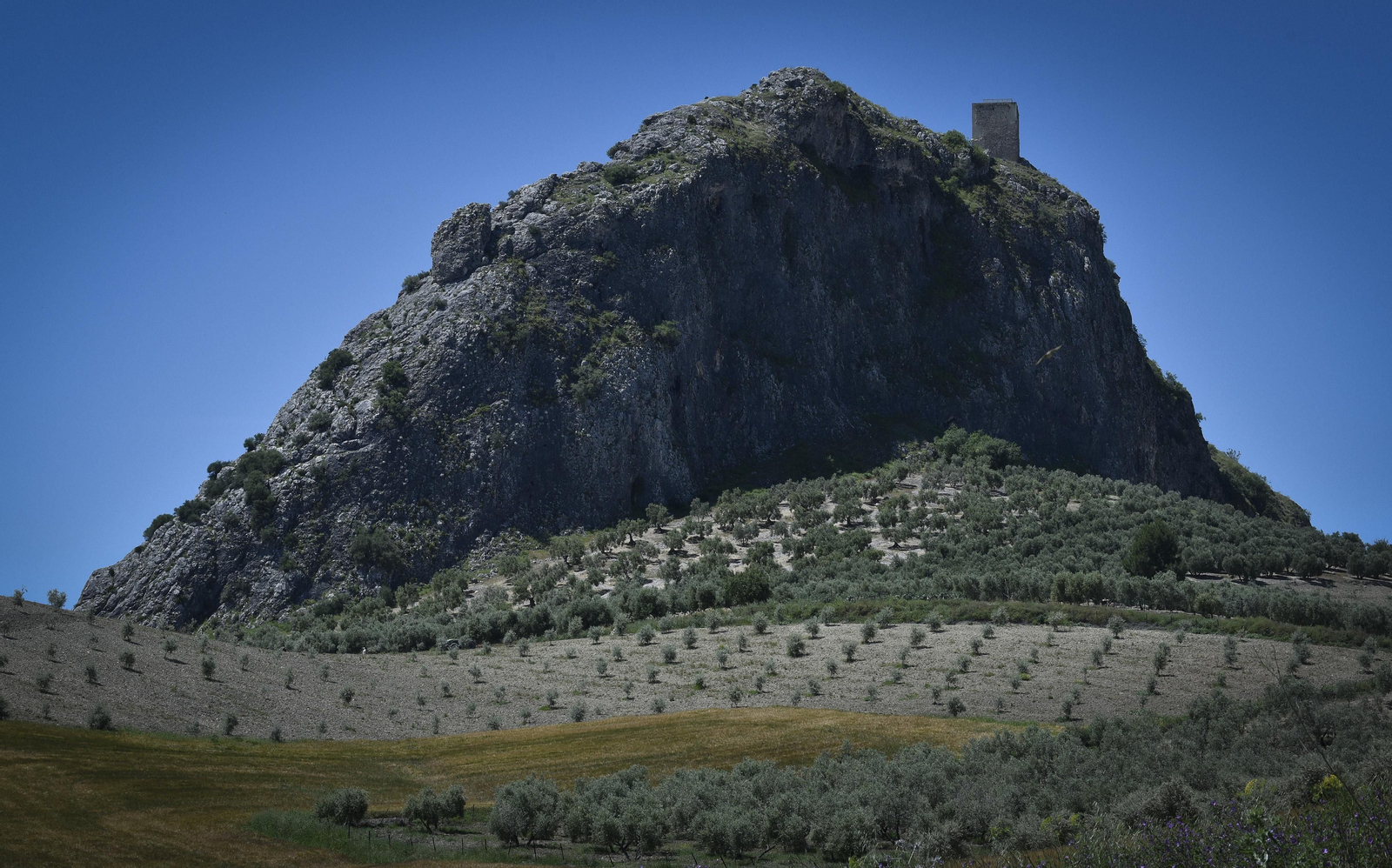 La resistencia en los pueblos de Sevilla al Coronavirus: Pruna