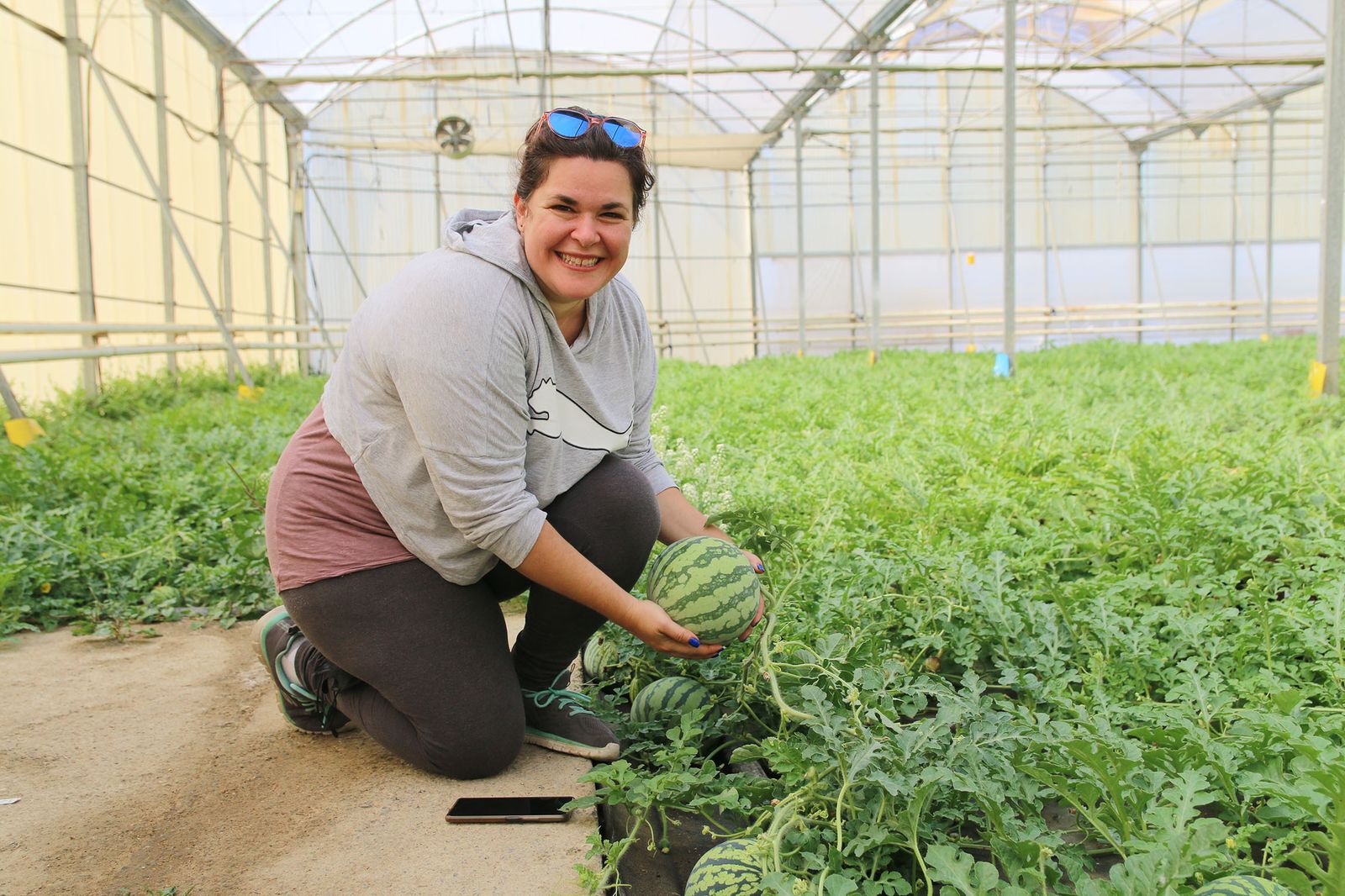 Marina Casas, técnica en el Departamento de Producción y Desarrollo de Anecoop y en la fundación UAL-Anecoop, en la finca de ensayos de sandía rayada