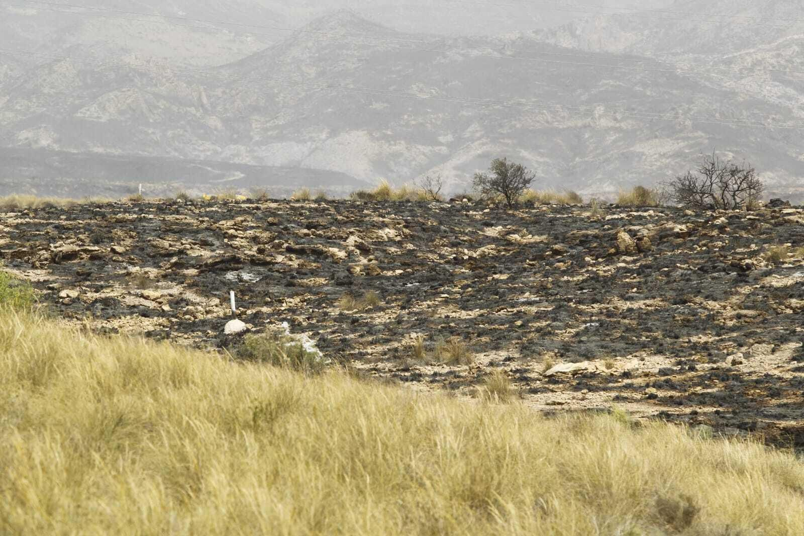 Imágenes del primer gran incendio en Almería a las puertas del verano