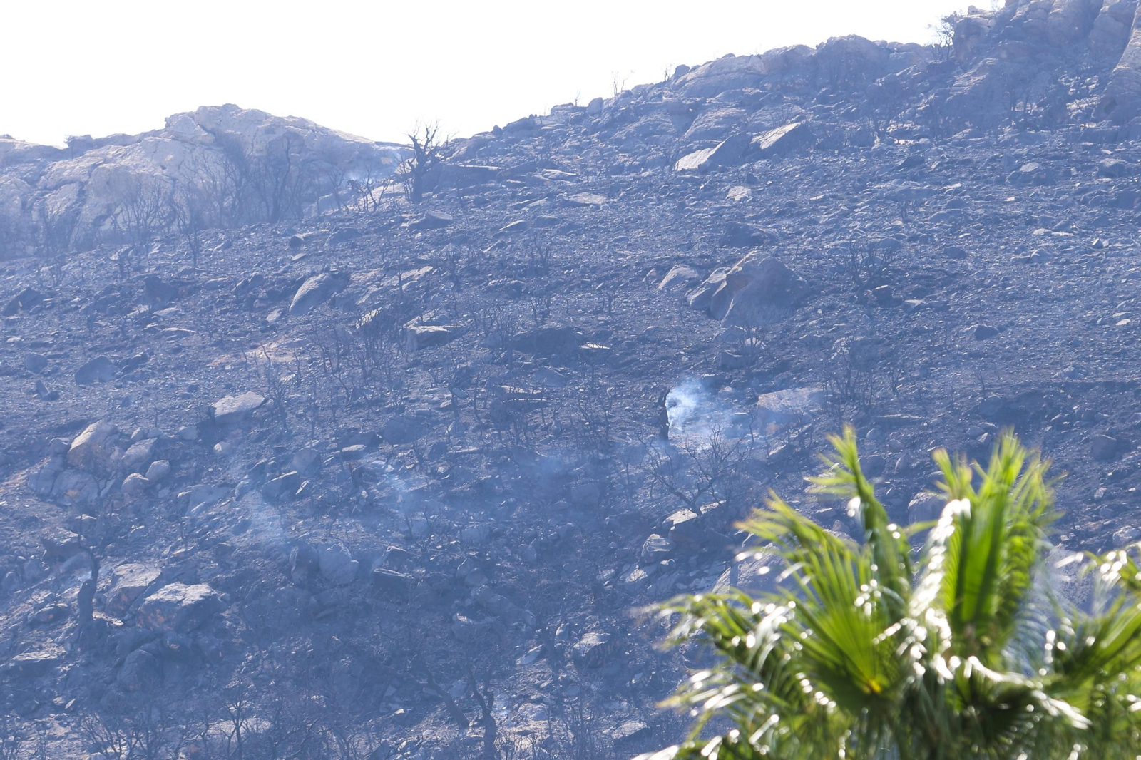 Las fotos de los efectos del incendio forestal en la Sierra de la Plata y Atlanterra, en Tarifa