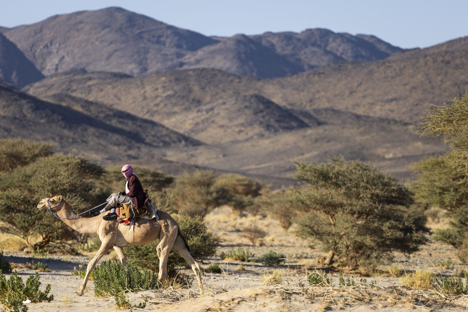 Las mejores fotos del Dakar | tercera jornada