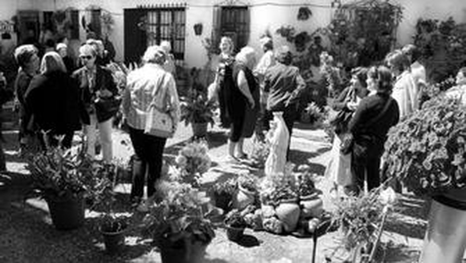 A lo largo del fin de semana han sido muchas las personas que han visitado los patios de El Puerto.