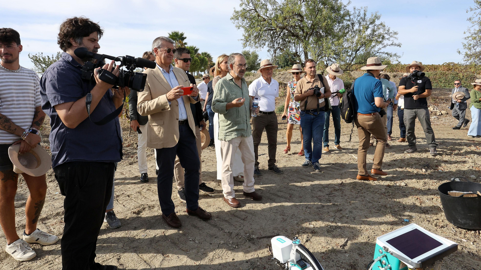 Vinos ecológicos con uva Pedro Ximénez