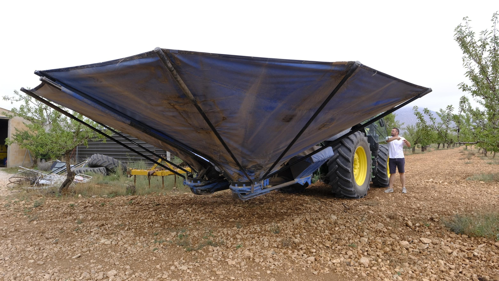 Imágenes de la almendra ecológica de Chirivel