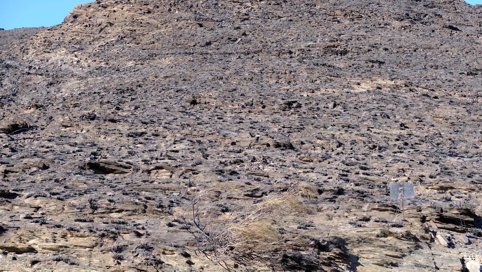 Fotogalería incendio en Castro de Filabres. Almería