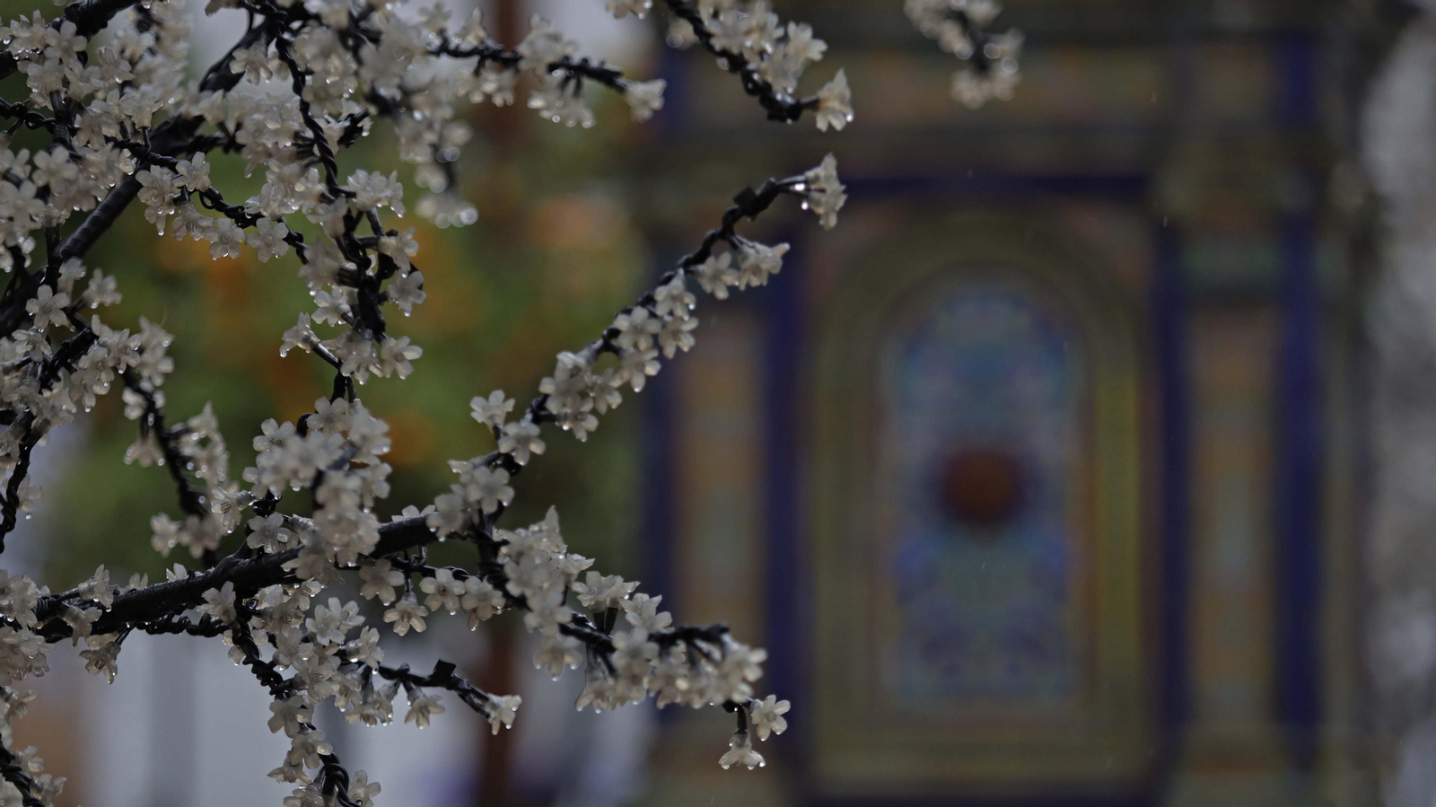 Fotos de la celebración de la Nochebuena en el Campo de Gibraltar
