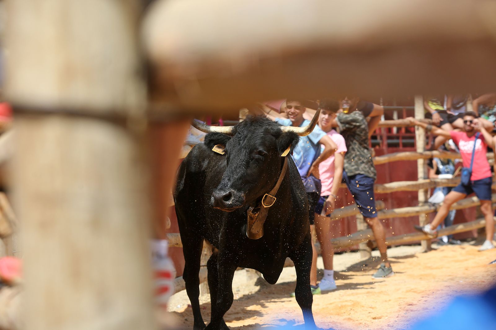 Capeas de Trigueros en imágenes