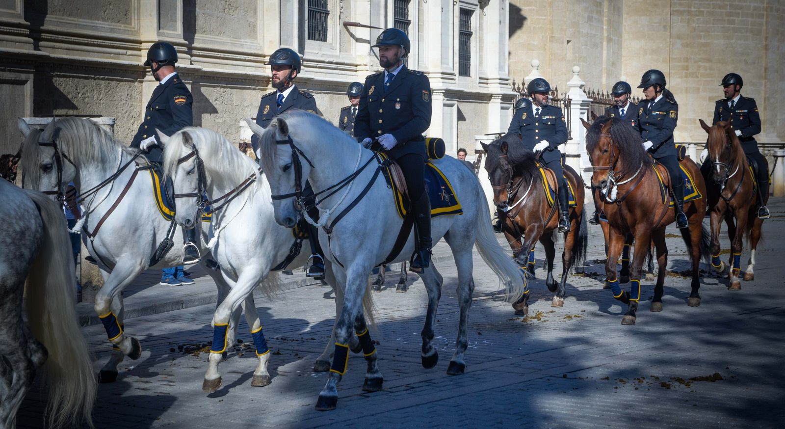 Caballería y guías caninos de la Policía Nacional celebran el patrón de los animales