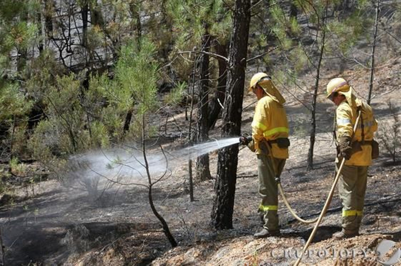 Foto: Alberto Domínguez